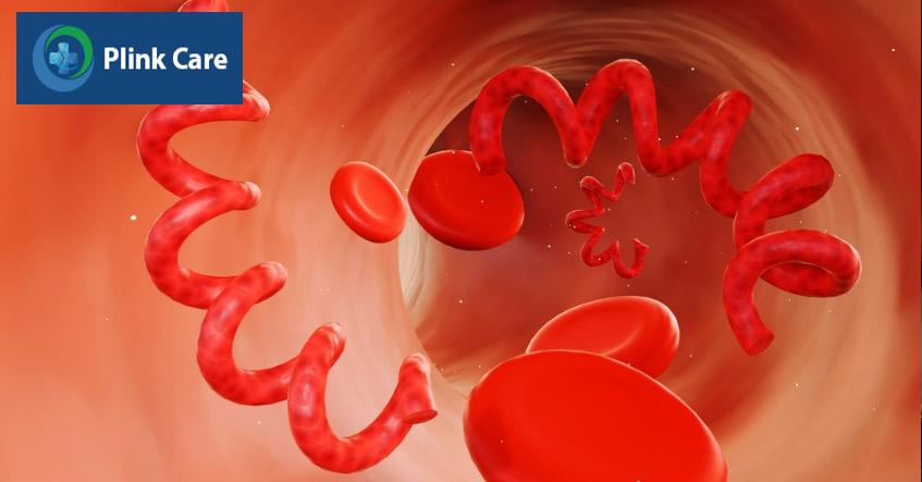 xoắn khuẩn treponema pallidum trong máu người bệnh