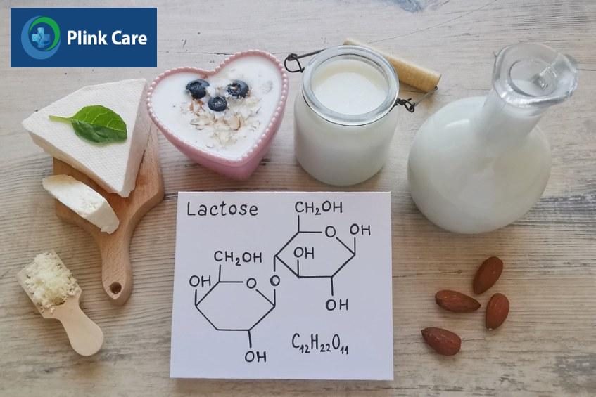 carbohydrate là chất gì