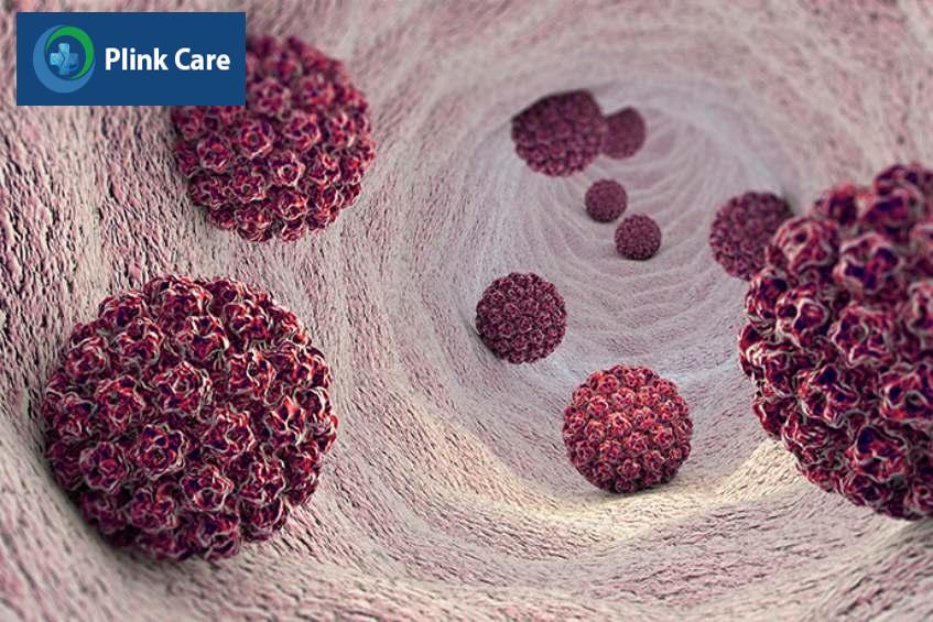 mô phỏng virus u nhú ở người