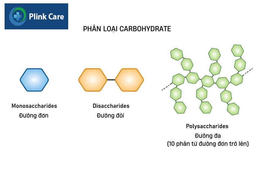 phân loại carb