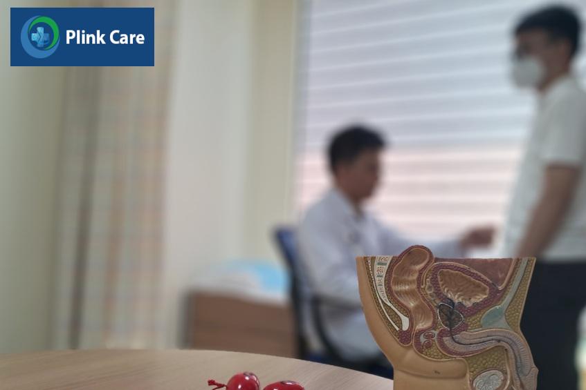 suy sinh dục là gì