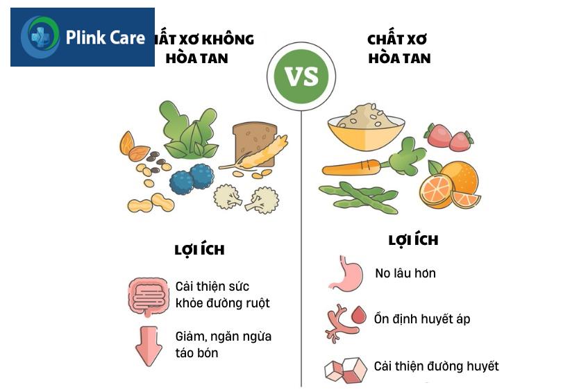 chất xơ có mấy loại