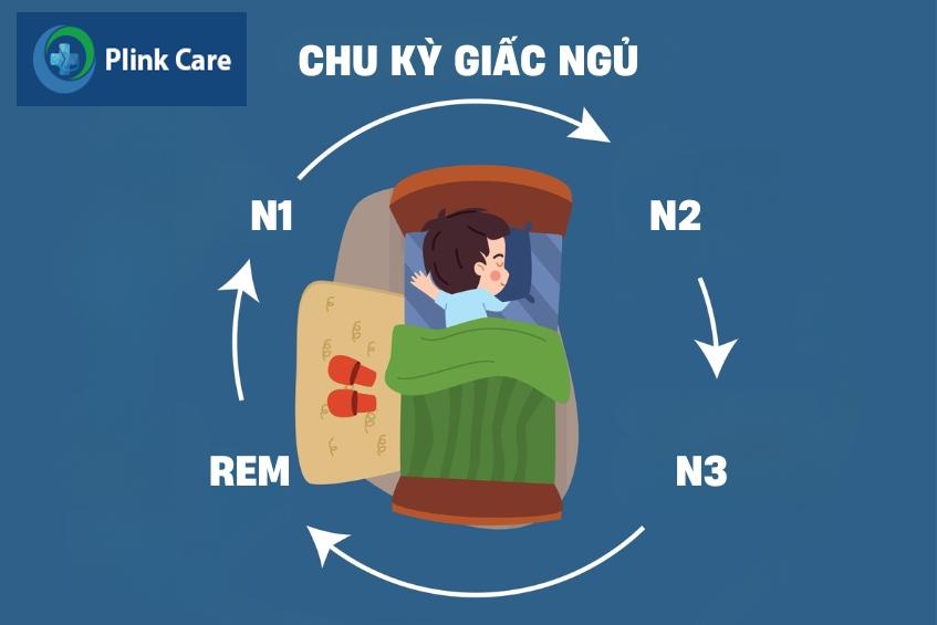 chu kỳ giấc ngủ có 4 giai đoạn