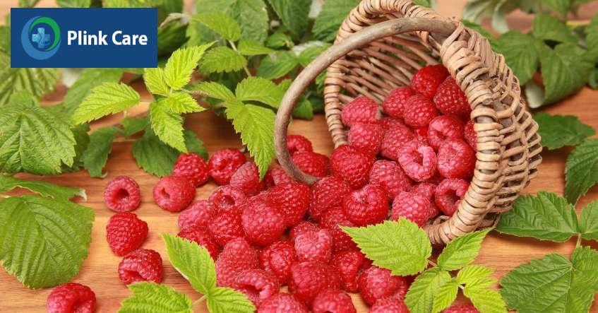 Mâm xôi là loại quả phù hợp cho người bệnh tiểu đường tuýp 2
