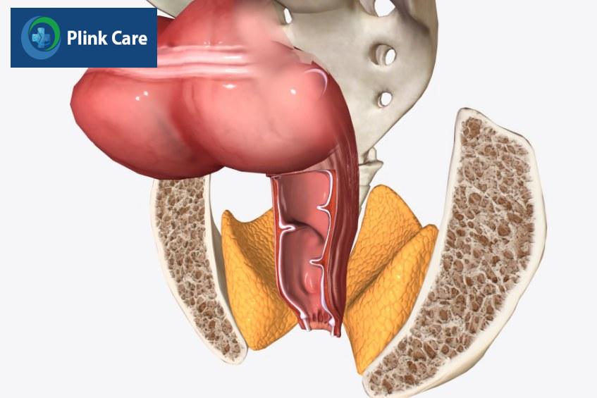 rò hậu môn ngoài cơ thắt tự khỏi không