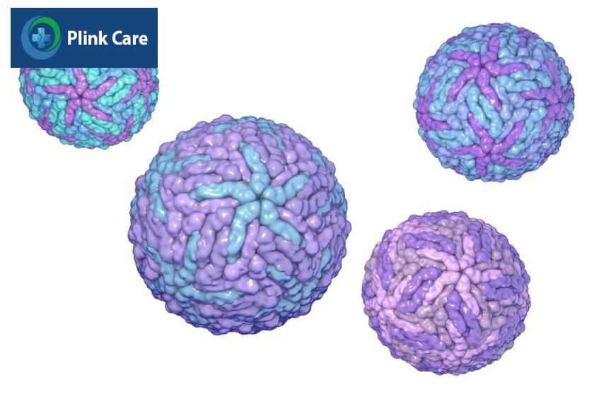virus sốt xuất huyết có 4 loại