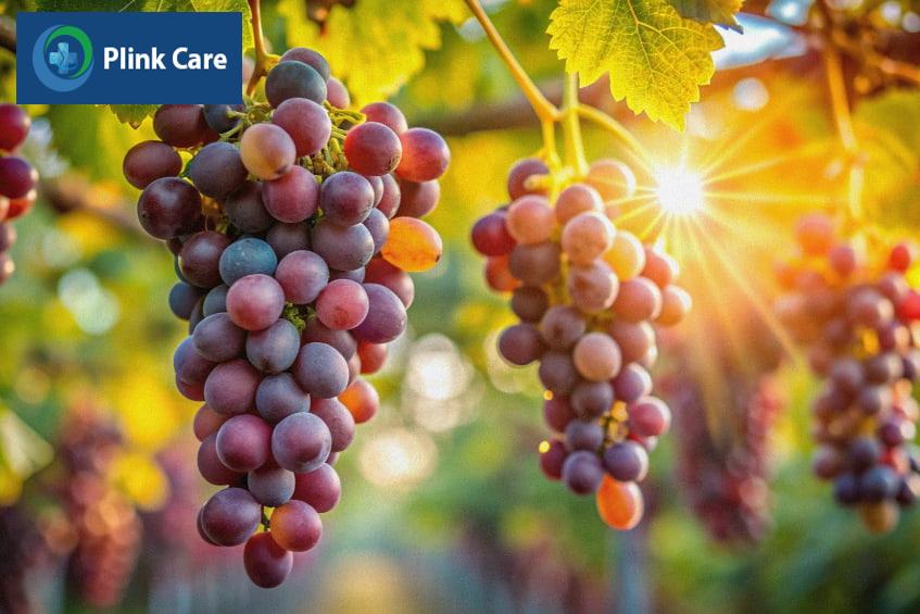 nhức đầu ăn trái cây gì, nho