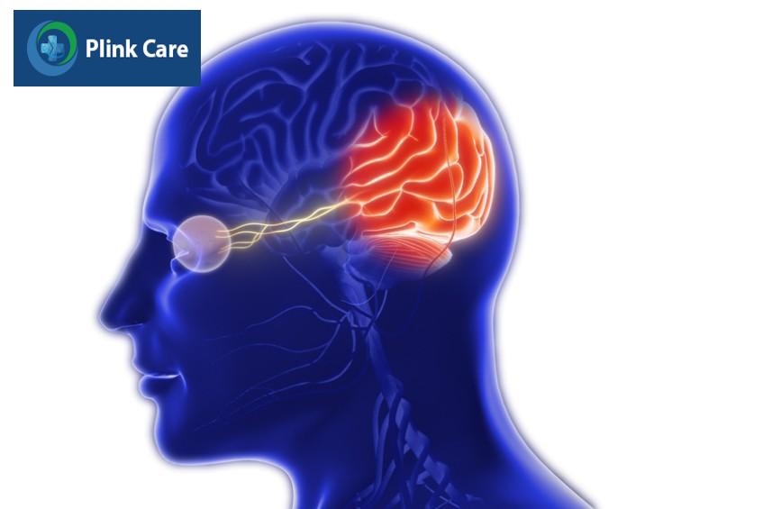 dây thần kinh thị giác truyền tín hiệu đến não