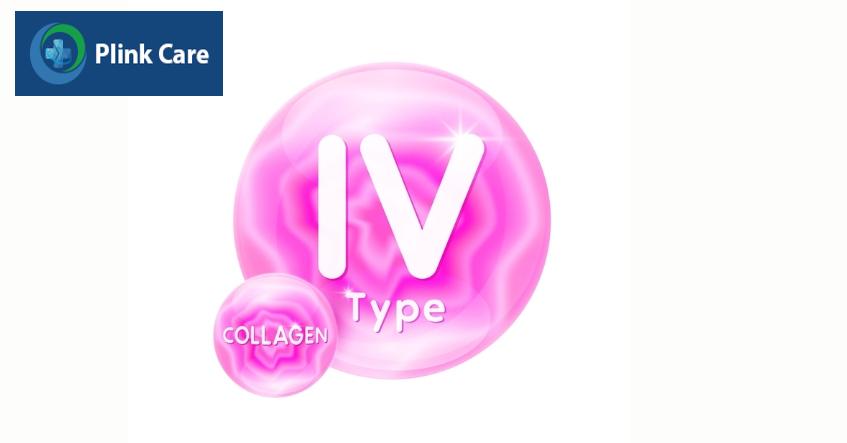 đột biến collagen type IV
