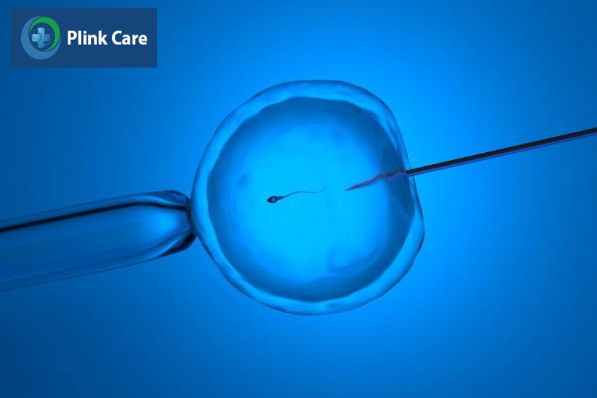 Phương pháp thụ tinh trong ống nghiệm (IVF)