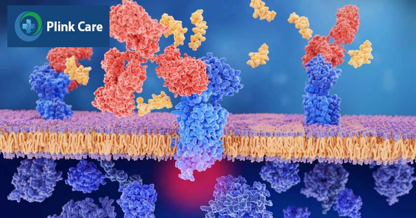 tìm sự xuất hiện của protein đơn dòng
