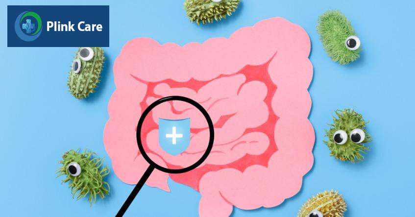 vi khuẩn đường tiêu hóa Bacillus anthraci là 1 trong nhiều nguyên nhân gây viêm cầu thận