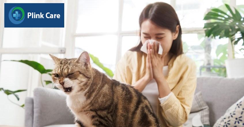 hắt hơi là tình trạng cơ thể phản ứng khi tiếp xúc với các dị nguyên