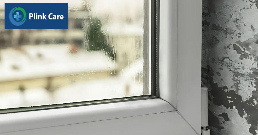 Môi trường ẩm thuận lợi cho nấm da phát triển
