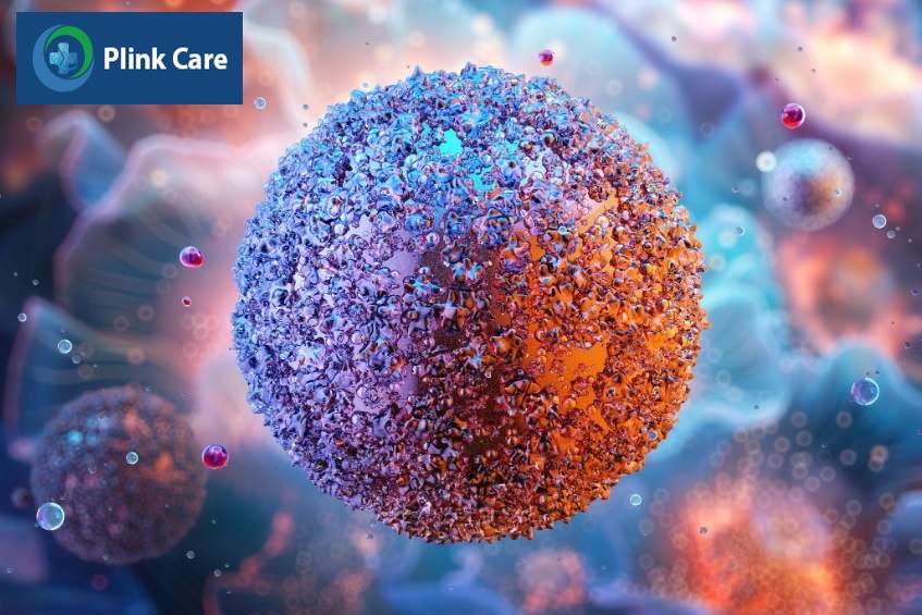 Mycoplasma là vi khuẩn không có thành tế bào