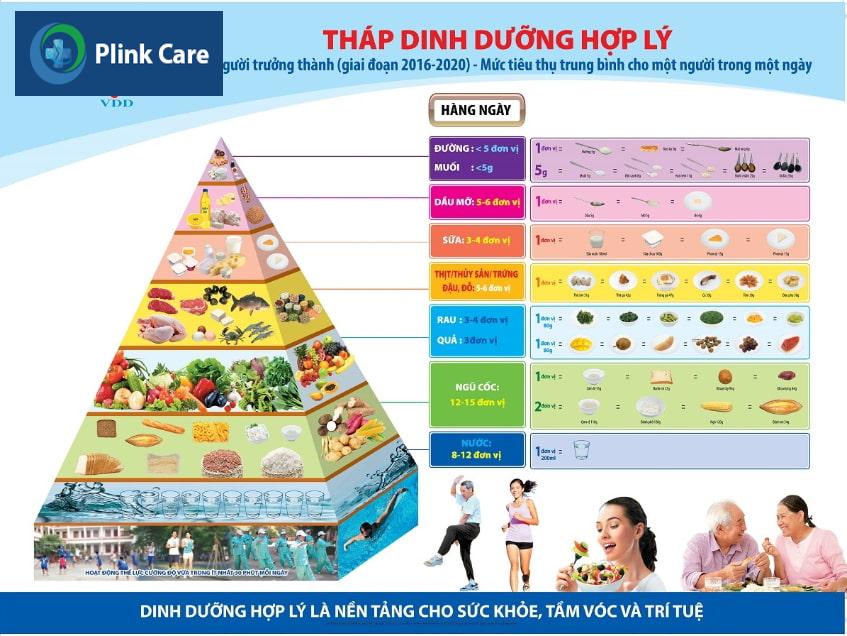 Tháp dinh dưỡng cho người trưởng thành