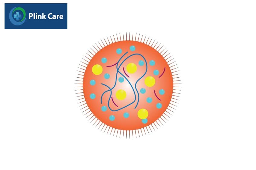 Vi khuẩn Mycoplasma có khả năng lây nhiễm